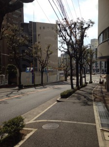 ワコーレ新神戸マスターズレジデンス＿北側を反対道路から撮影