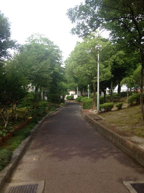 緑の豊かな散歩道
